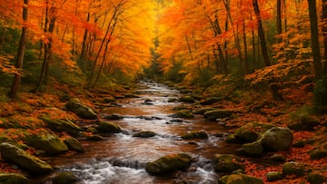 Epic Games’ billionaire founder has turned his fortune toward conservation, safeguarding more than 50,000 acres of untouched land.