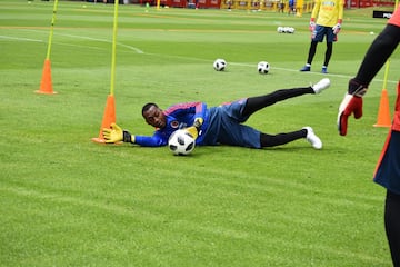 La Selección Colombia trabaja en la Sede de la Federación Colombiana de Fútbol en Bogotá con el grupo casi completo. Fabra, Borja, Mateus, Lerma y compañía se alistan para el partido de despedida, el viaje a Italia y el Mundial.