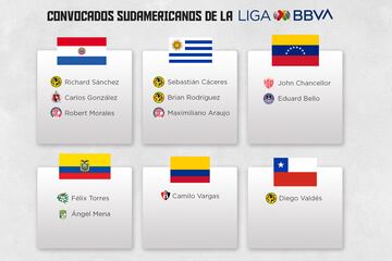 Selecciones nacionales que aporta Liga MX a selecciones sudamericanas