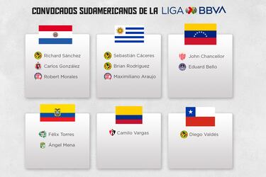 Estos son todos los jugadores que aporta Liga MX para Fecha FIFA