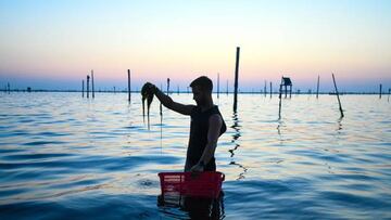 Fabio Pezzolati, 25, cleans the water from algae while harvesting clams on the lagoon of Goro, about 100 km south of Venice, on the early morning of July 25, 2022. - The recent drought has increased the salinity of the lagoon's waters, favouring the proliferation of algaes that absorb oxygen putting at risk the life of clams and mussels. (Photo by Piero CRUCIATTI / AFP) (Photo by PIERO CRUCIATTI/AFP via Getty Images)