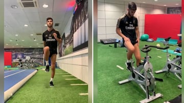 Real Madrid: Asensio injury recovery continues