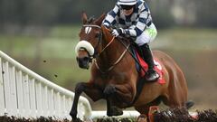 Della Casa Lunga, a evitar el hat-trick de Dameofthecotswolds
