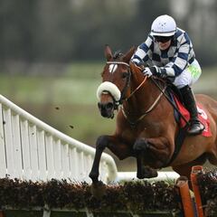 Della Casa Lunga, a evitar el hat-trick de Dameofthecotswolds