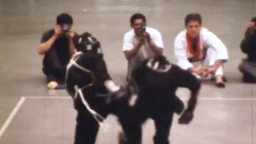 Una pelea inédita de Bruce Lee revoluciona Youtube