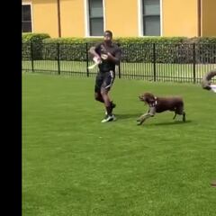 Weirdest offseason workouts NFL players swear by