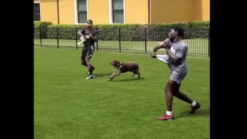 From weighted sled pushes to jiu-jitsu to pretending to throw towels, NFL players will do some interesting things to stay in shape in the offseason.