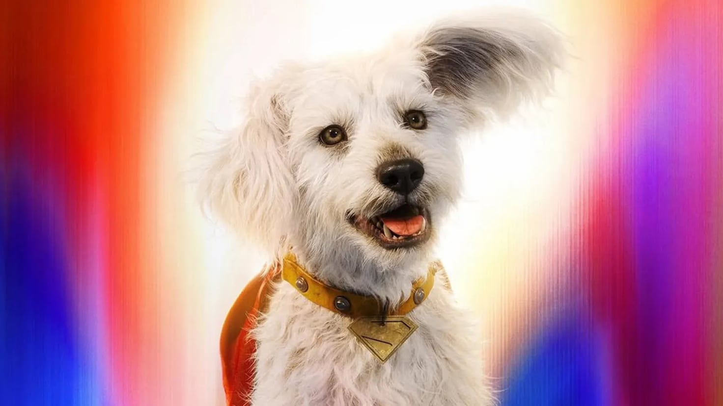 Meet Ozu: The real-life dog behind Superman’s pet Krypto in James Gunn ...