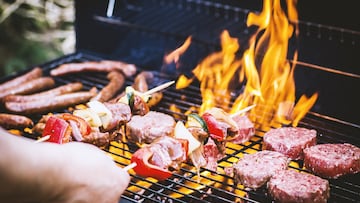 ?Puedo hacer una barbacoa en la terraza de mi piso o en mi jard¨ªn? Esto dice la Ley de Propiedad Horizontal