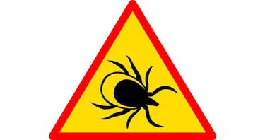 ?Garrapatas? No gracias