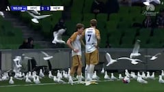 Es una de las escenas más surrealistas en un campo de fútbol: ni los propios jugadores podían creerlo