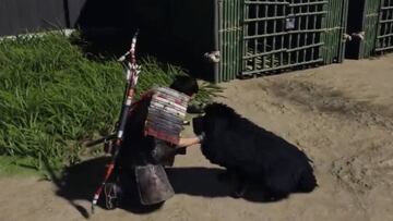 Ghost of Tsushima se actualizará con un amuleto para atraer y acariciar perros (versión 1.1)