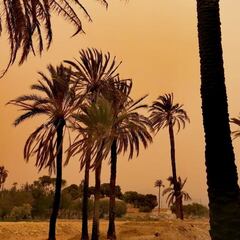 'Lluvia de sangre' en España: ¿qué es la calima y por qué hay tormentas de arena del Sáhara?