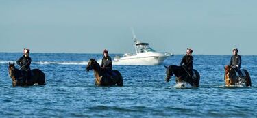 Entrenamiento en el mar antes de la Melbourne Cup