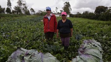 Le vendió su terreno a Petro... y ahora se lo quedan sus empleados: el ‘milagro’ de Astrea
