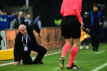 Vicente Del Bosque cae al suelo.