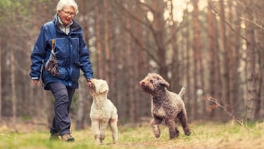 Pensión para adultos mayores: cuánto podría aumentar y nuevos montos