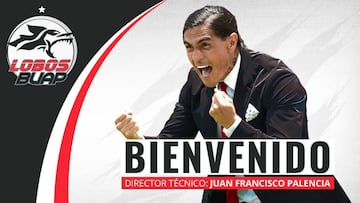 Francisco Palencia, Lobos BUAP