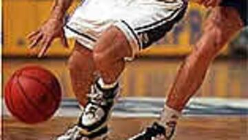 Pablo Laso se va tras diecinueve años de actividad