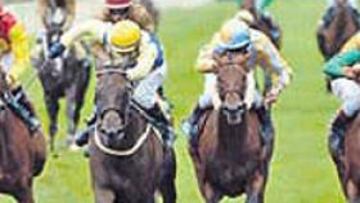 <b>GRAN VICTORIA. </b>Petite Paramour se impuso a las favoritas.