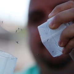 How a fan can prevent mosquitoes from biting you at night