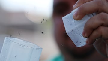 Mosquitoes are attracted to the CO2 that we expel through our mouths when breathing, as well as substances released through the skin. A tip to prevent bites when sleeping.