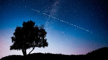 Avanza el plan de los satélites de Elon Musk para enfrentarse a la ‘zona muerta’ de los móviles: averigua si el tuyo está en la lista