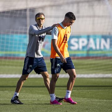 Luis Enrique y Pedri.