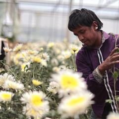 Medidas establecidas para mitigar problemas económicos por COVID-19