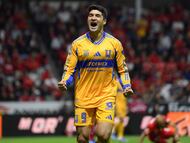 Nicolás Ibáñez es el representante de los Tigres en la tabla de goleo.