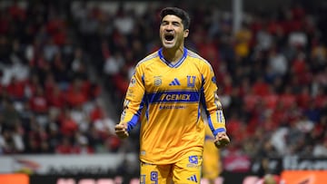 Nicolás Ibáñez es el representante de los Tigres en la tabla de goleo.