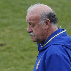 Del Bosque clarifies Iniesta's true worth