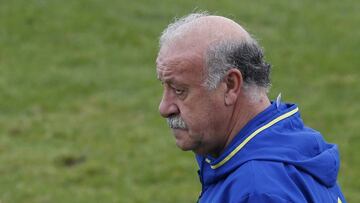 Del Bosque clarifies Iniesta's true worth