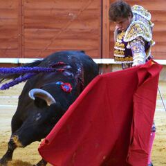Prohibición de corridas de toros sería tema en consulta ciudadana
