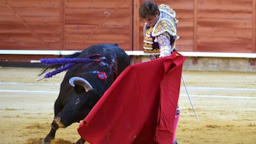 Prohibición de corridas de toros sería tema en consulta ciudadana