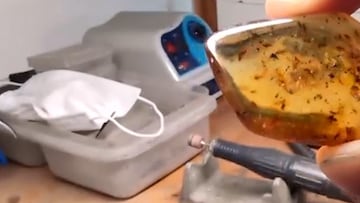 Una mujer recoge un supuesto trozo de plástico en la playa y resulta que es un material mucho más valioso de hace millones de años