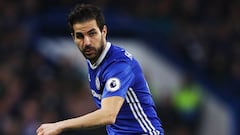 Cesc F&agrave;bregas con el Chelsea. 