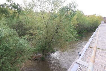 Análisis de la cámara Canon PowerShot V10, una gran herramienta centrada en el vlogging