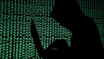 Cat lovers targeted by hackers