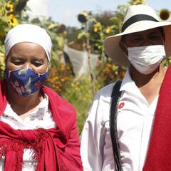 Ingreso solidario: link, requisitos y cómo saber si recibiré la ayuda en noviembre