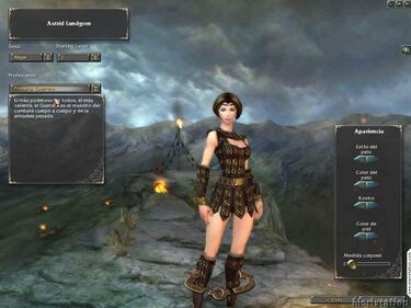 Guild Wars, Impresiones