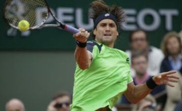 David Ferrer