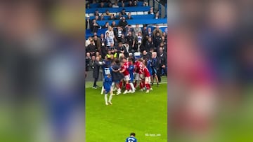 Cole Palmer’s surprising turn in the Chelsea-Nottingham Forest brawl leaves soccer fans astounded!