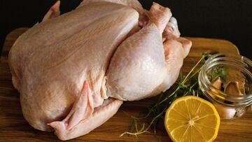 La nueva ley del Bienestar Animal triplicará el precio del pollo