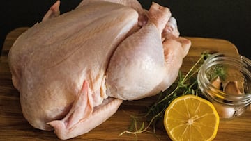 La nueva ley del Bienestar Animal triplicará el precio del pollo