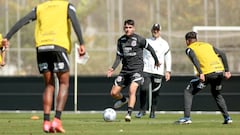 Araos pierde la esperanza