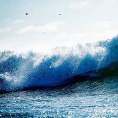 Así será la quinta versión del “Maui And Sons Pichilemu Women’s Pro"