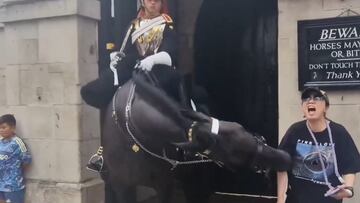 Tourist faints in London after being bitten by King’s Guard horse during photo attempt