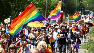 El 28 de junio se celebra el Día Internacional del Orgullo. Te explicamos cuántas banderas del movimiento LGBT+ hay y qué significa cada una.