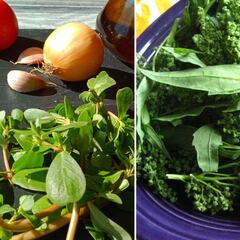 De prevenir la diabetes a eliminar el colesterol: las enriquecedoras funciones de estas tres plantas muy comunes en México